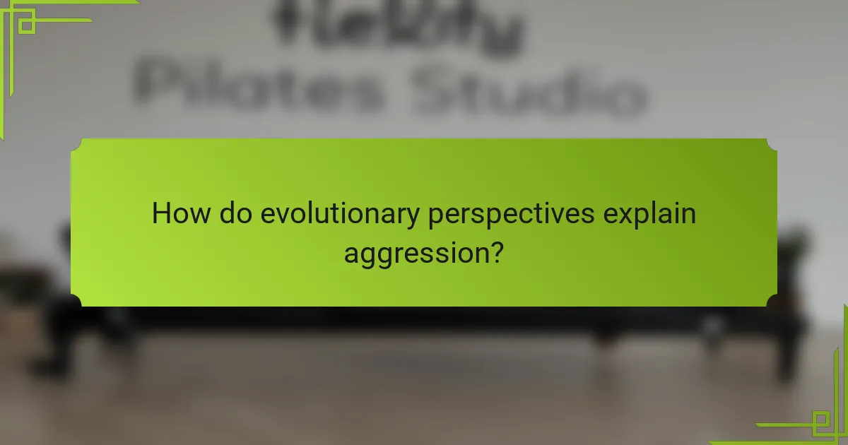 How do evolutionary perspectives explain aggression?