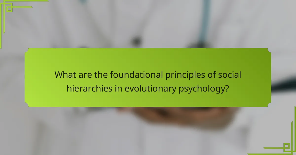 What are the foundational principles of social hierarchies in evolutionary psychology?