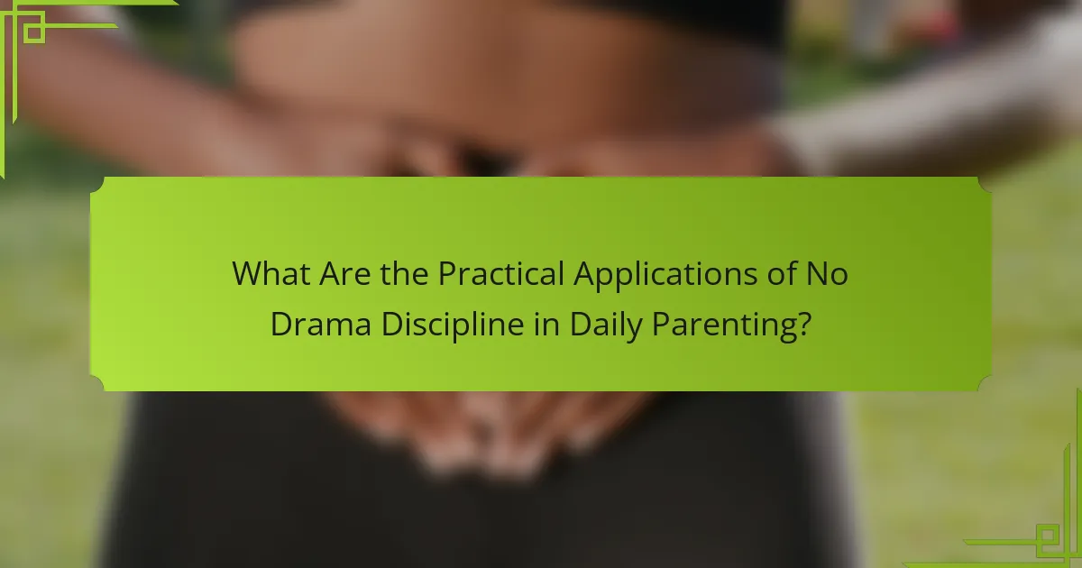 What Are the Practical Applications of No Drama Discipline in Daily Parenting?