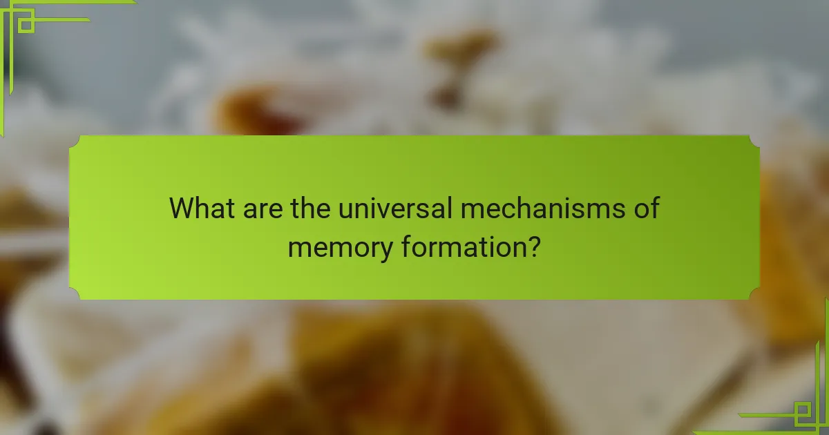 What are the universal mechanisms of memory formation?