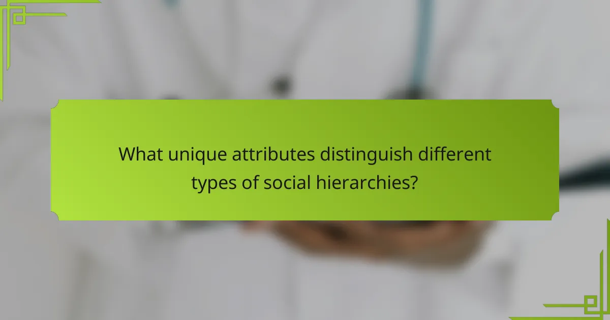 What unique attributes distinguish different types of social hierarchies?