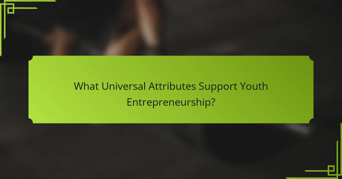 What Universal Attributes Support Youth Entrepreneurship?